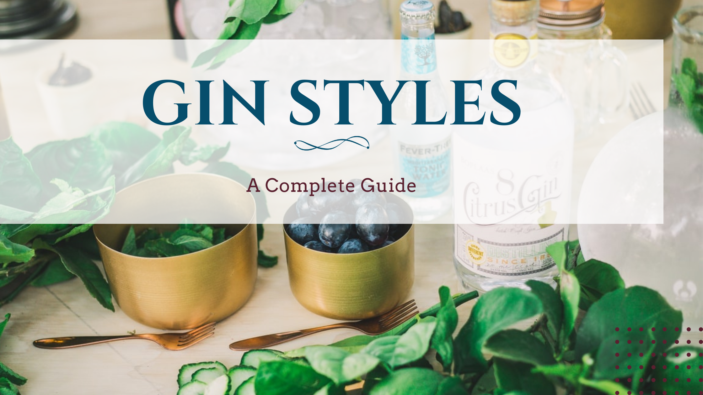 Image of diy distilling the differenct gin styles