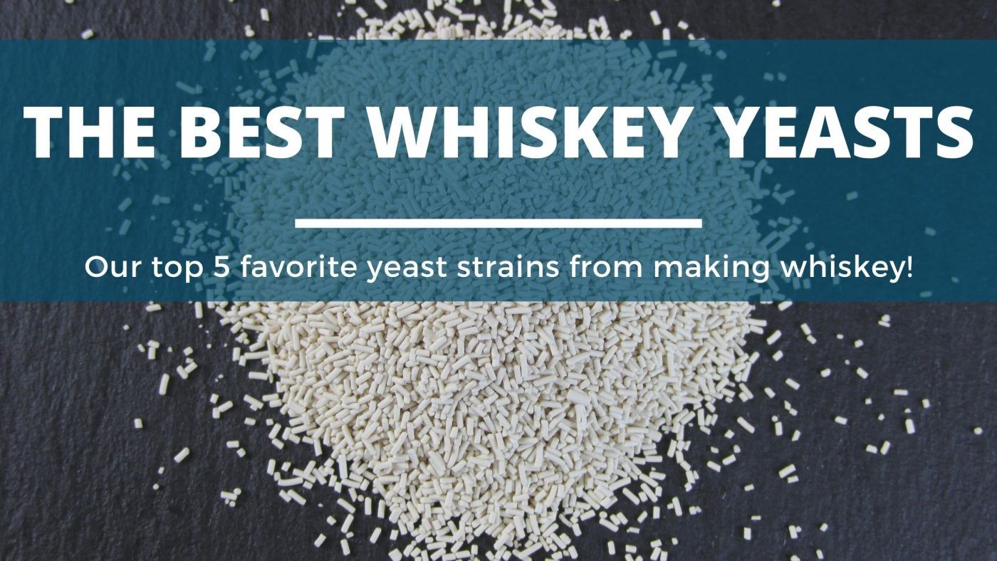 Image of diy distilling the best yeast for making whiskey and whisky