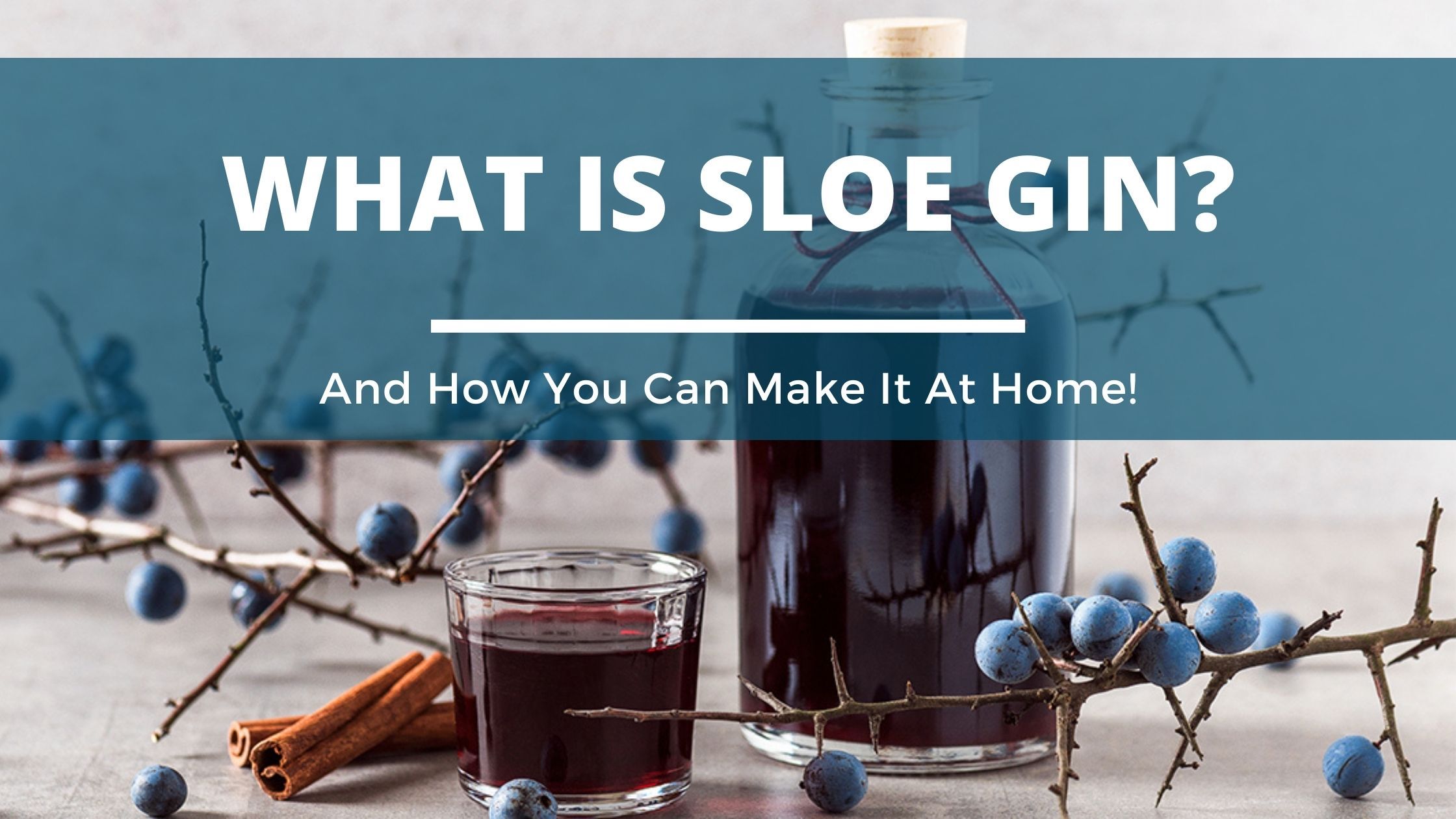 Image of diy distilling what is sloe gin and how to make it