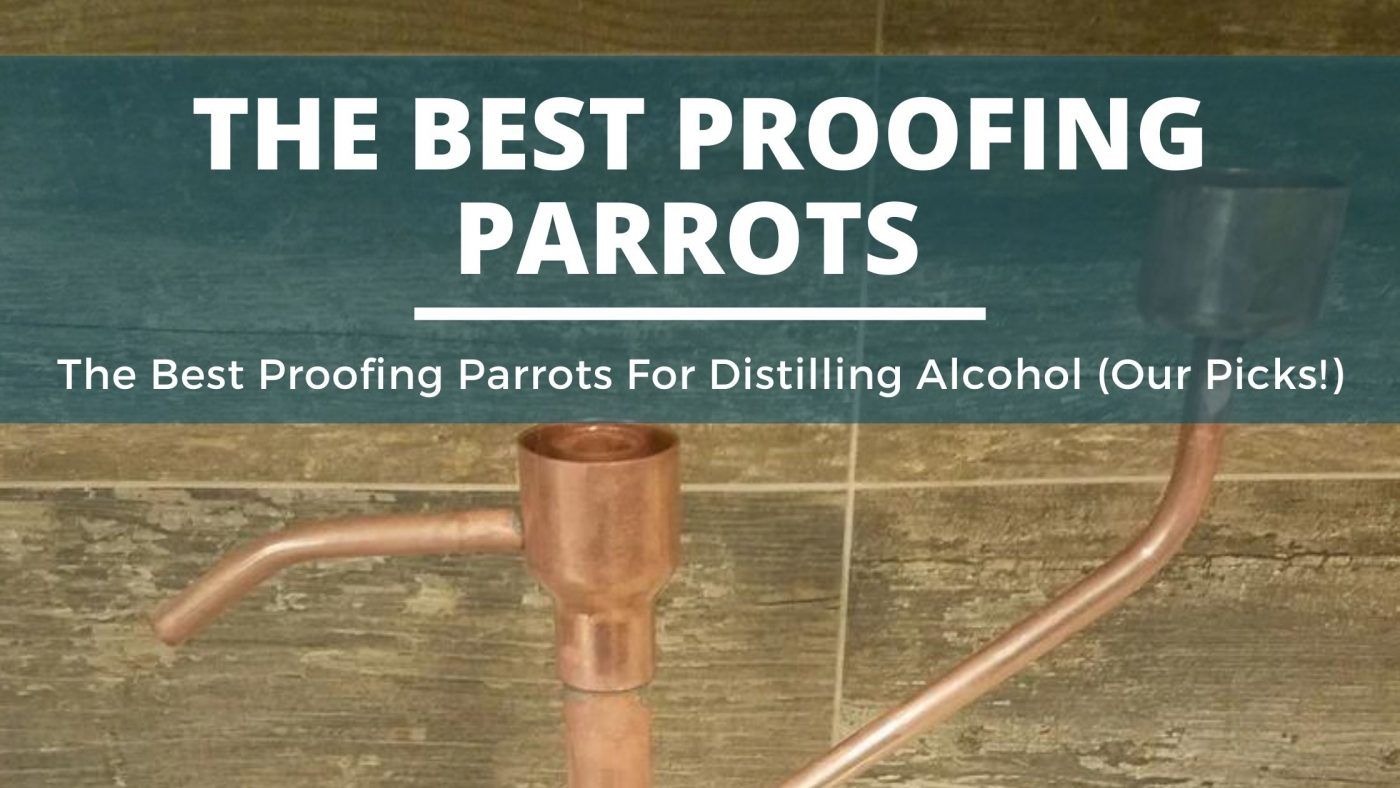 Image of diy distilling the best proofing parrots for distilling alcohol explained