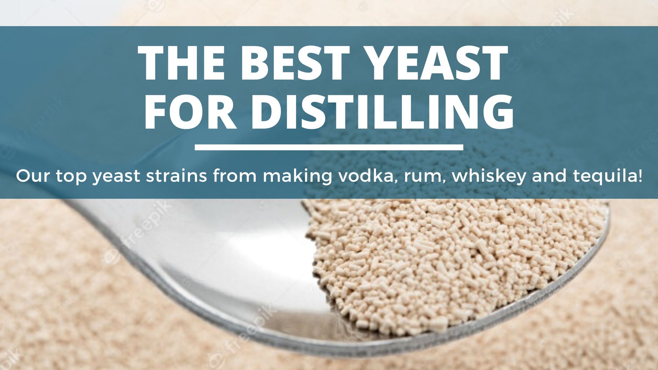 The best yeasts for distilling (our top 4! )