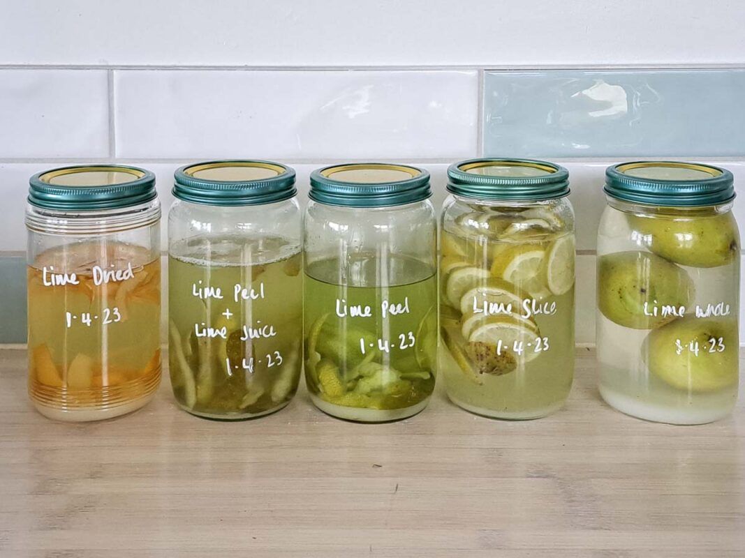 Image of diy distilling 5 different recipes for limecello