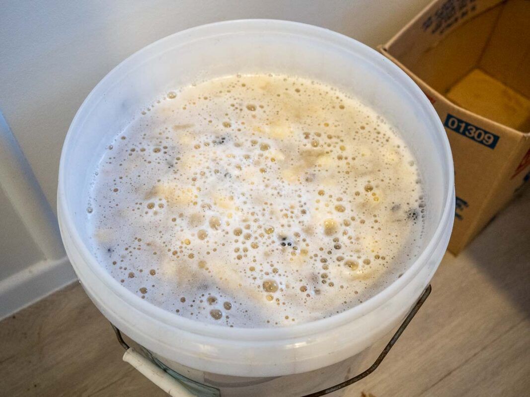 Image of diy distilling adding a rum yeast to our banana brandy wash
