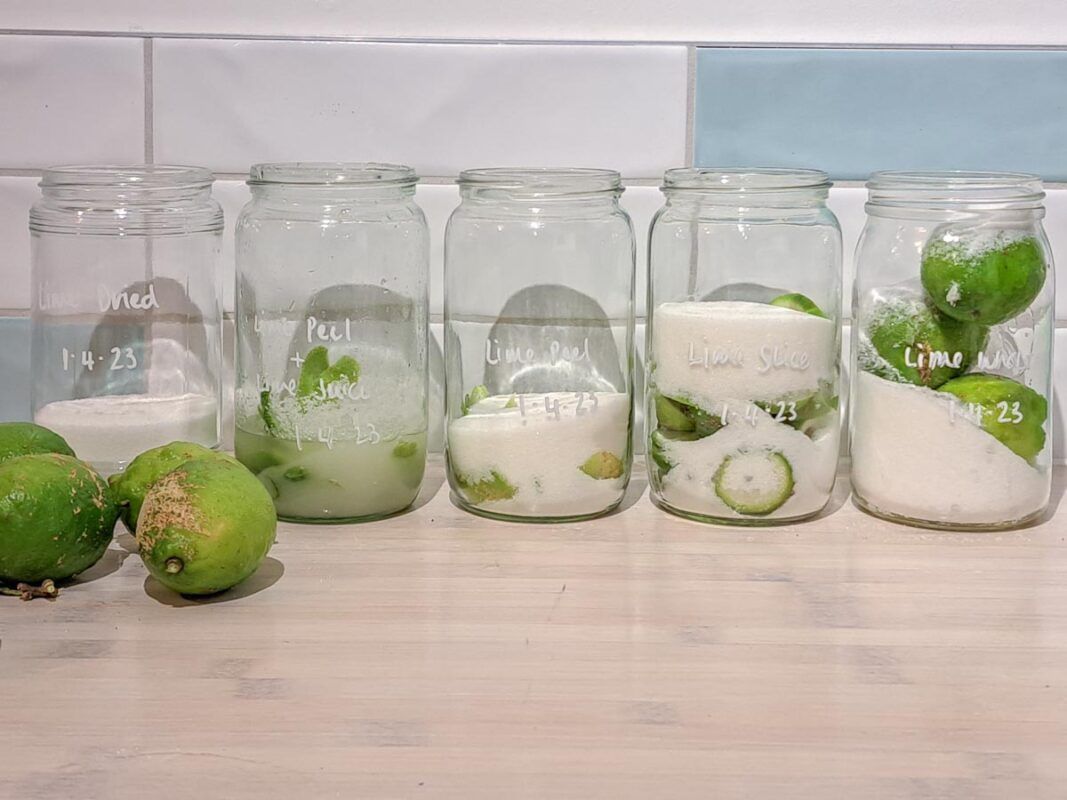 Image of diy distilling different types of lime infused for limecello