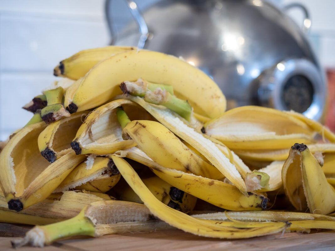 Image of diy distilling peeling bananas to make banana wine